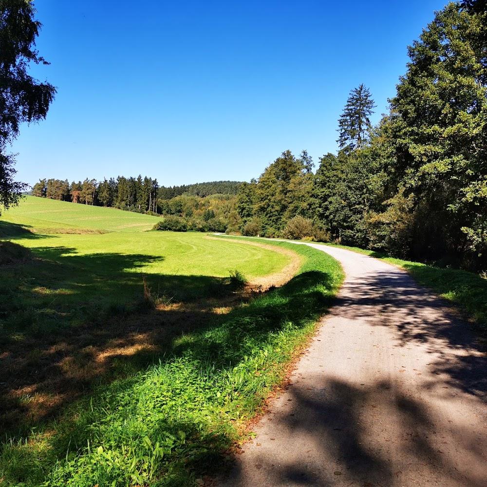 A winding road through a grassy field and trees.